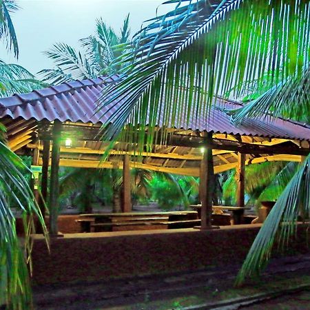 Heina Nature Resort - Eco Home And Yala Safari Kataragama Dış mekan fotoğraf