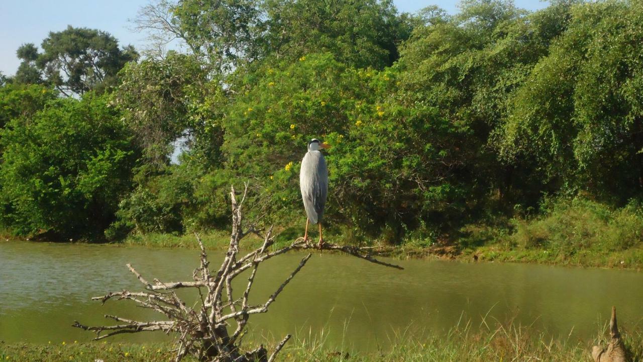 Heina Nature Resort - Eco Home And Yala Safari Kataragama Dış mekan fotoğraf