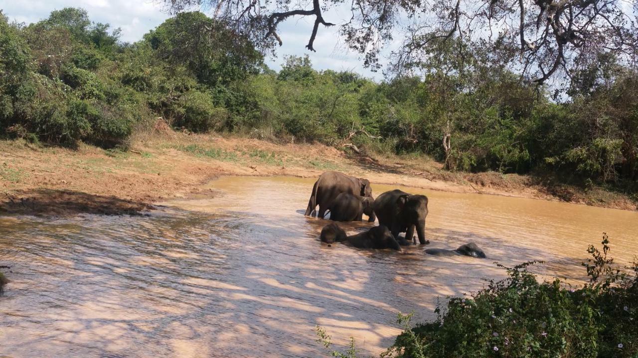 Heina Nature Resort - Eco Home And Yala Safari Kataragama Dış mekan fotoğraf